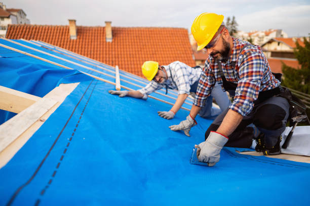Best New Roof Installation  in Lansing, MI