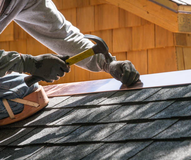 Best Metal Roofing Contractor  in Lansing, MI